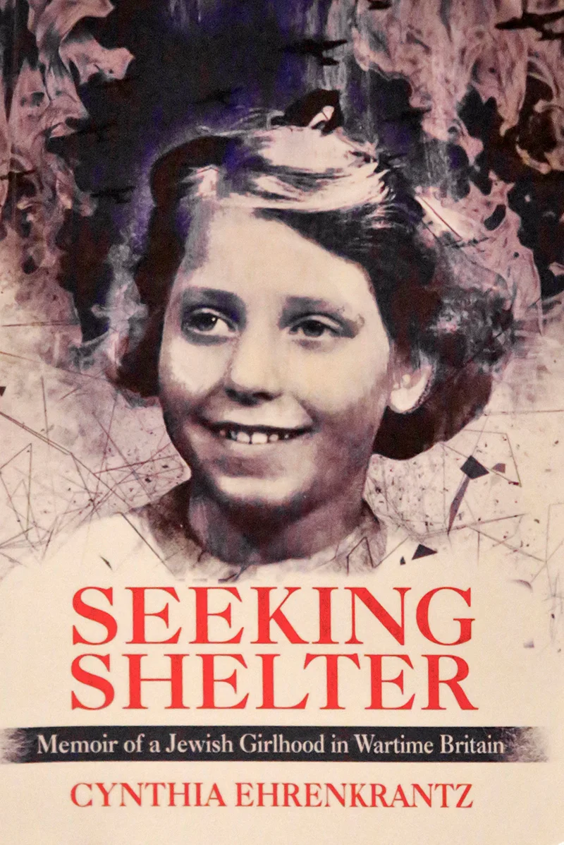 Seeking Shelter book cover